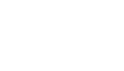 DSM Group